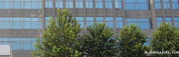 2026世界杯扩军的坏处