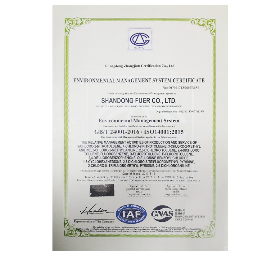 欧洲杯2026世界杯