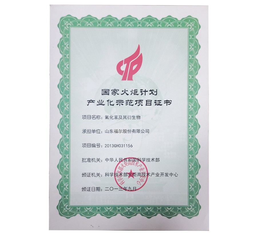 欧洲杯2026世界杯