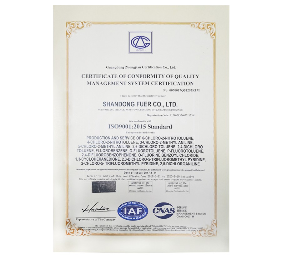 欧洲杯2026世界杯