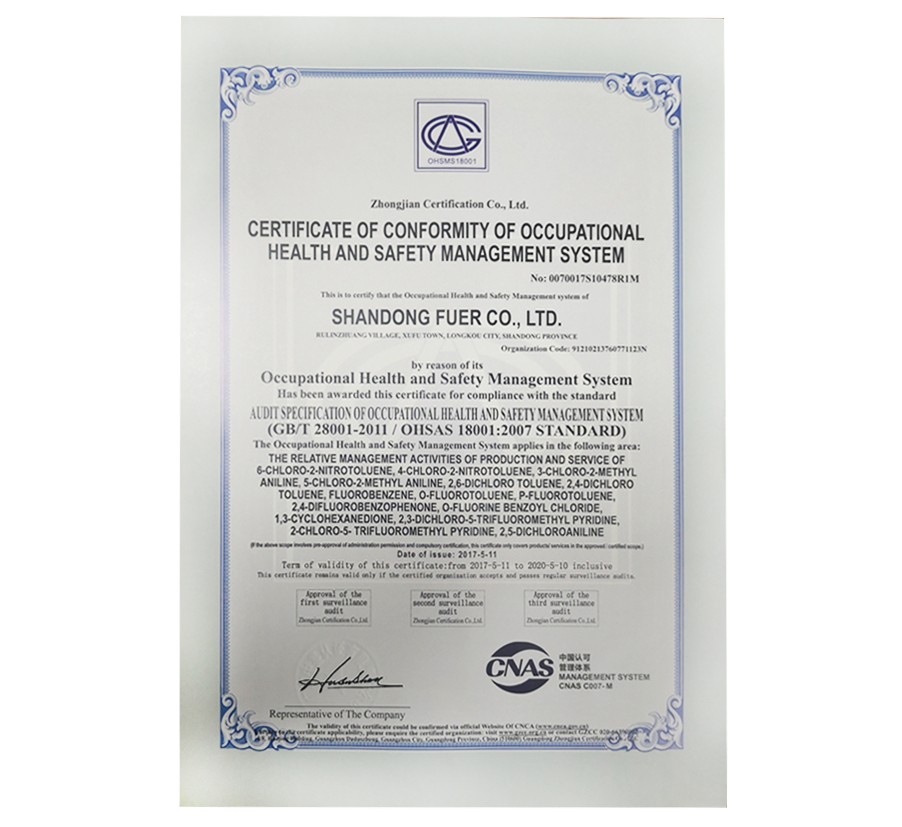 欧洲杯2026世界杯