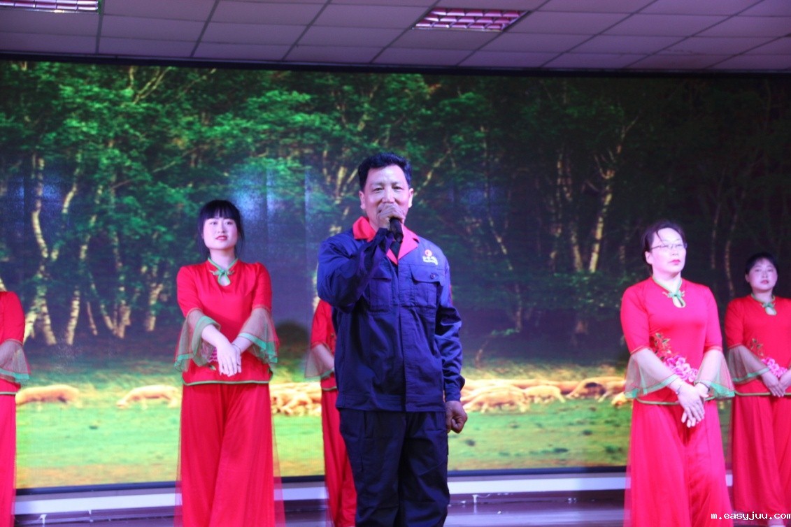 1556680810866468.jpg 8.jpg